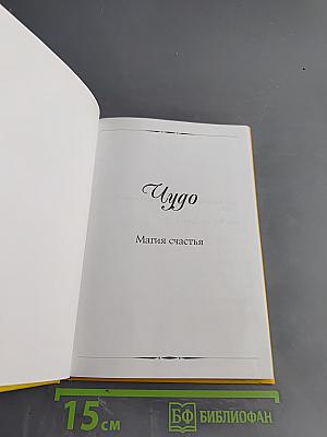 Чудо. Магия счастья