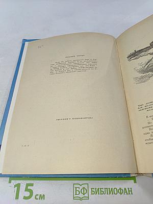 Пассажир дальнего плавания