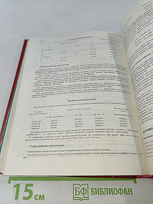 Краткий толковый словарь русского языка для иностранцев