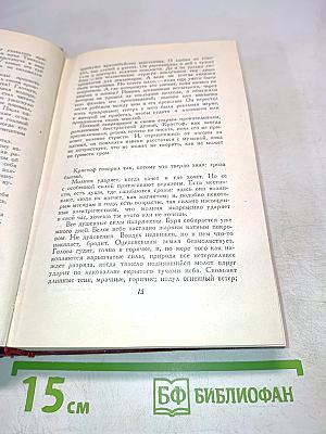 Собрание сочинений. Том Четвертый. Жан-Кристоф. Юность четвертая и пятая