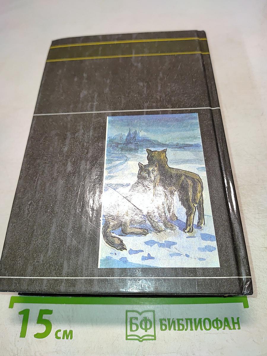 Золотая петля