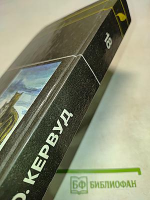 Золотая петля