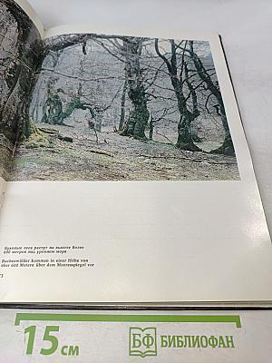 Этот удивительный Крым. Фотоальбом