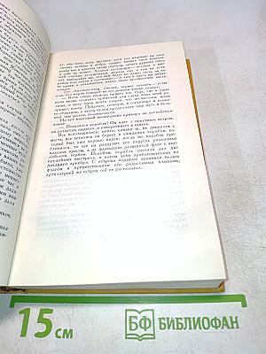 Странствия Персилеса и Сихизмунды. Том пятый