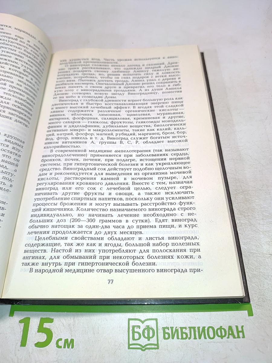 Целебные кладовые природы