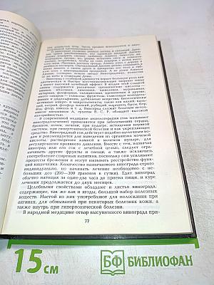 Целебные кладовые природы