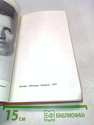 Как закалялась сталь. Часть 1