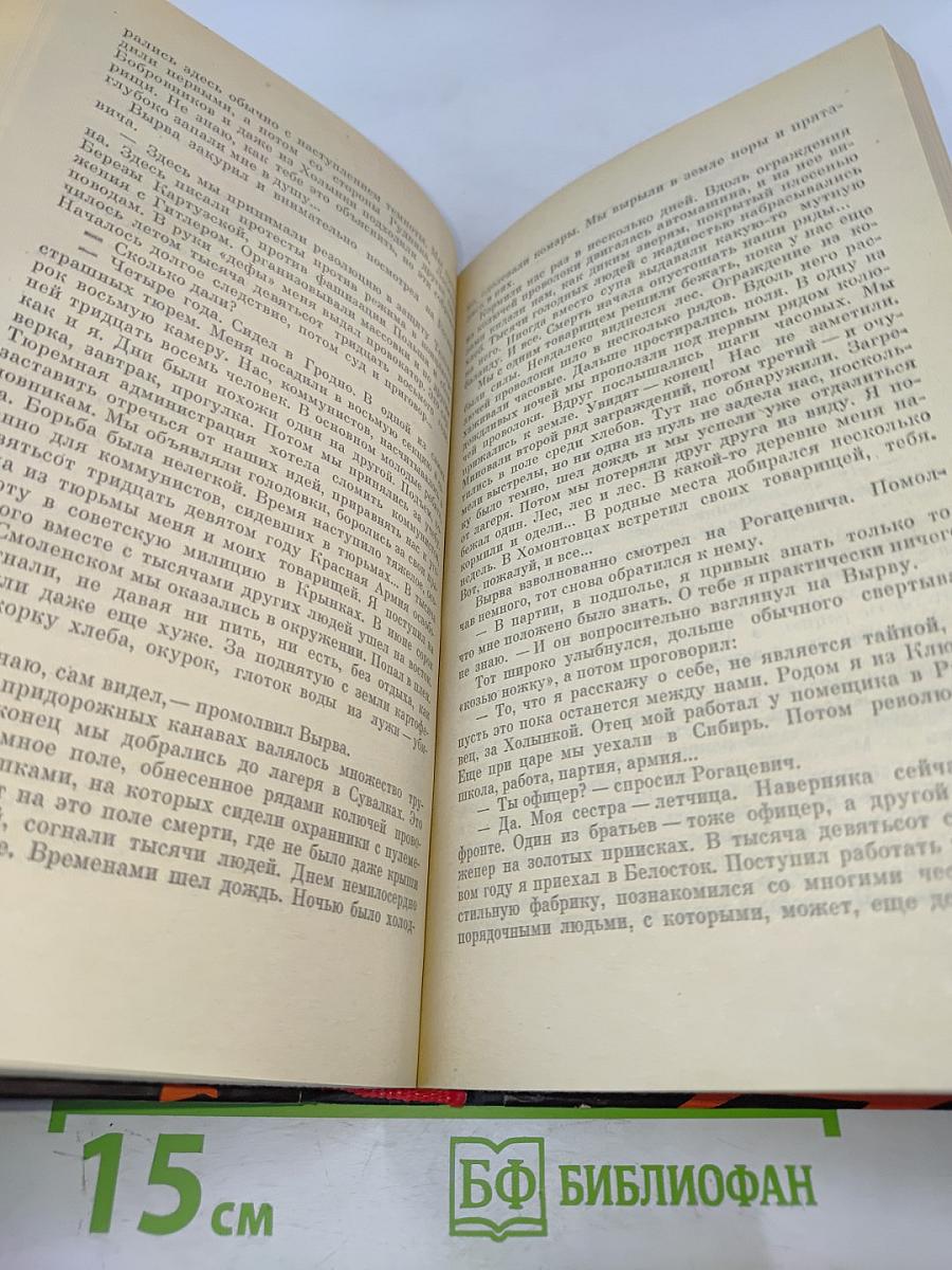 В Беловежской пуще