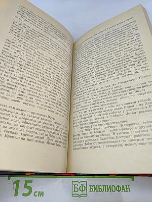 В Беловежской пуще