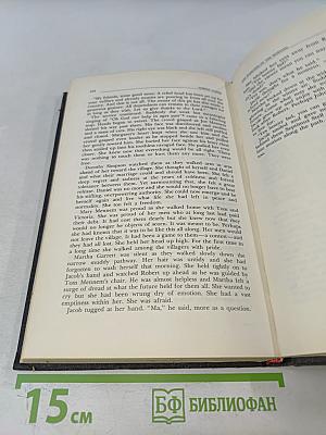 The Darkness of the Morning