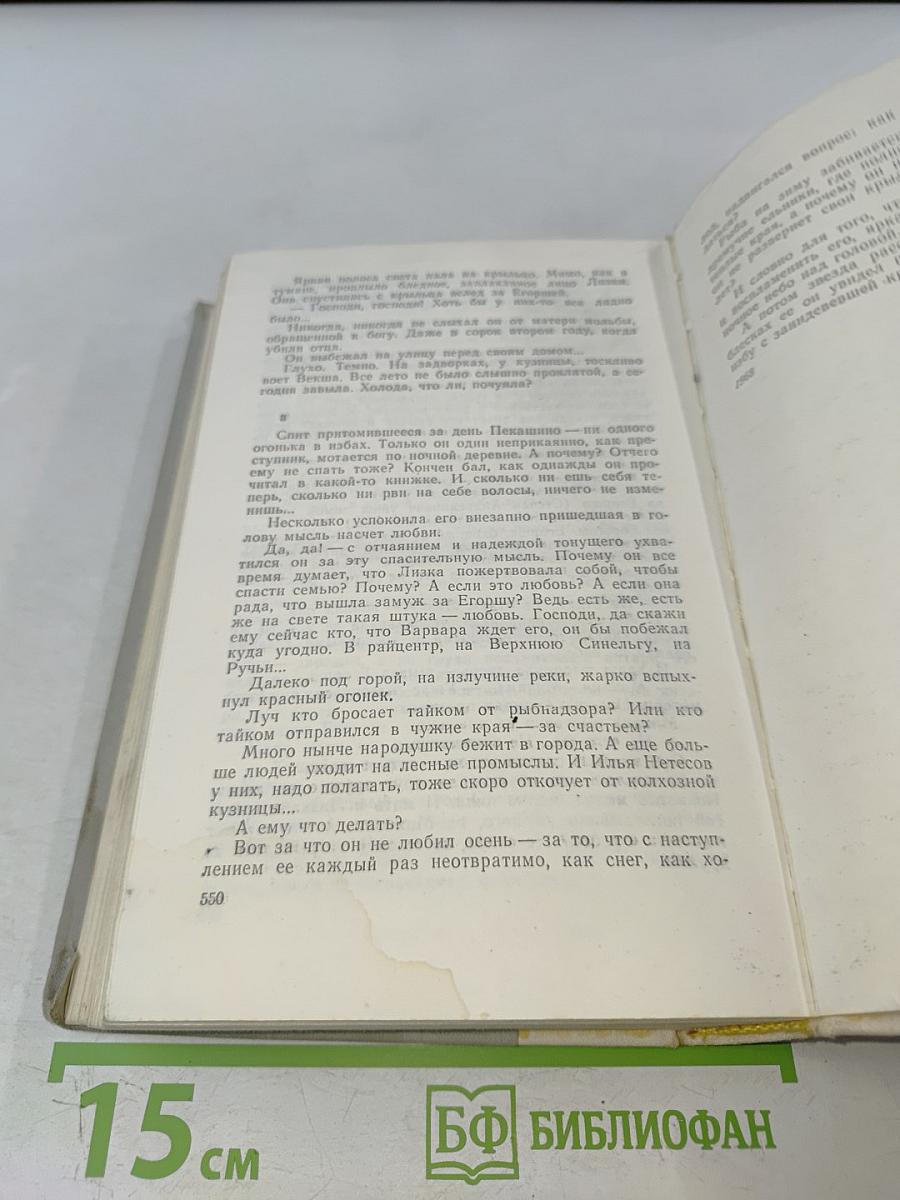 Братья и сестры. Две зимы и три лета