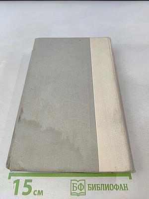 Братья и сестры. Две зимы и три лета