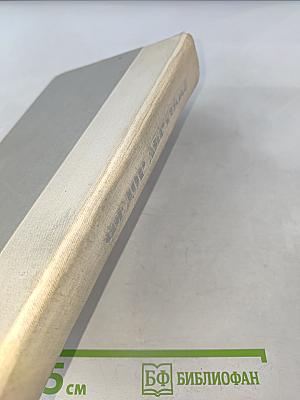 Братья и сестры. Две зимы и три лета