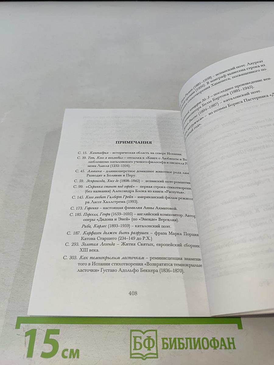 Тень другого моря