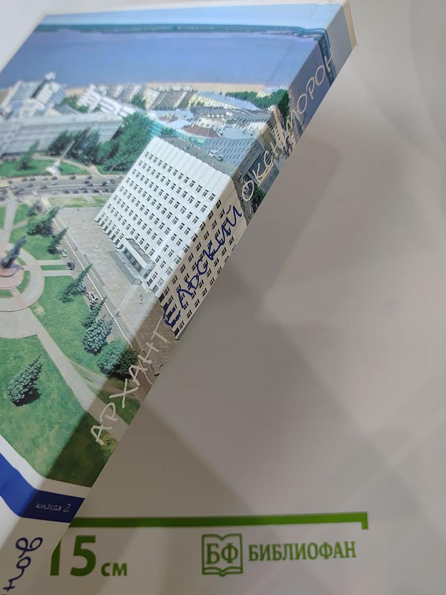 Архангельский оксюморон, Книга 2