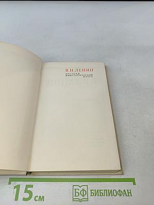 Краткий биографический очерк