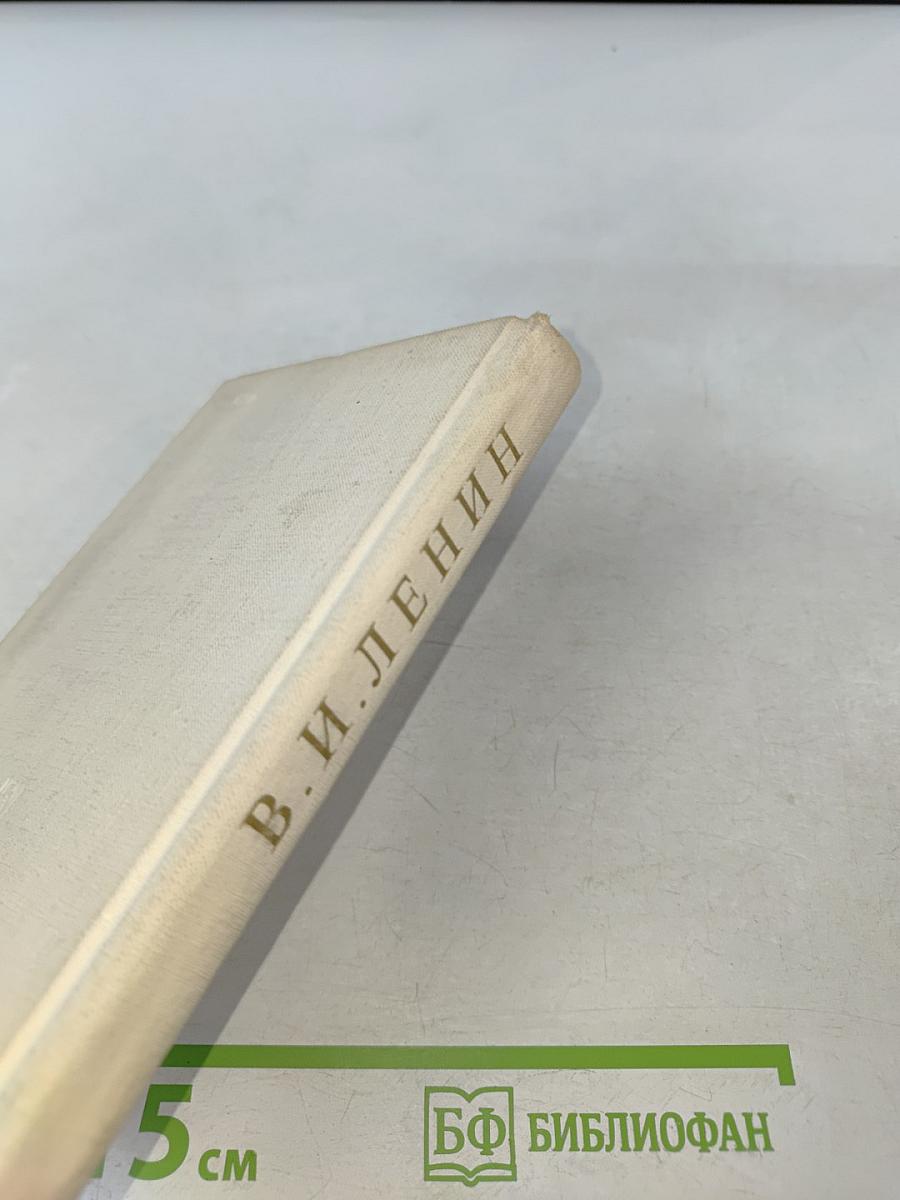 Краткий биографический очерк