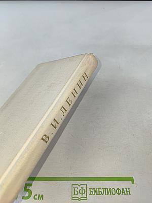 Краткий биографический очерк