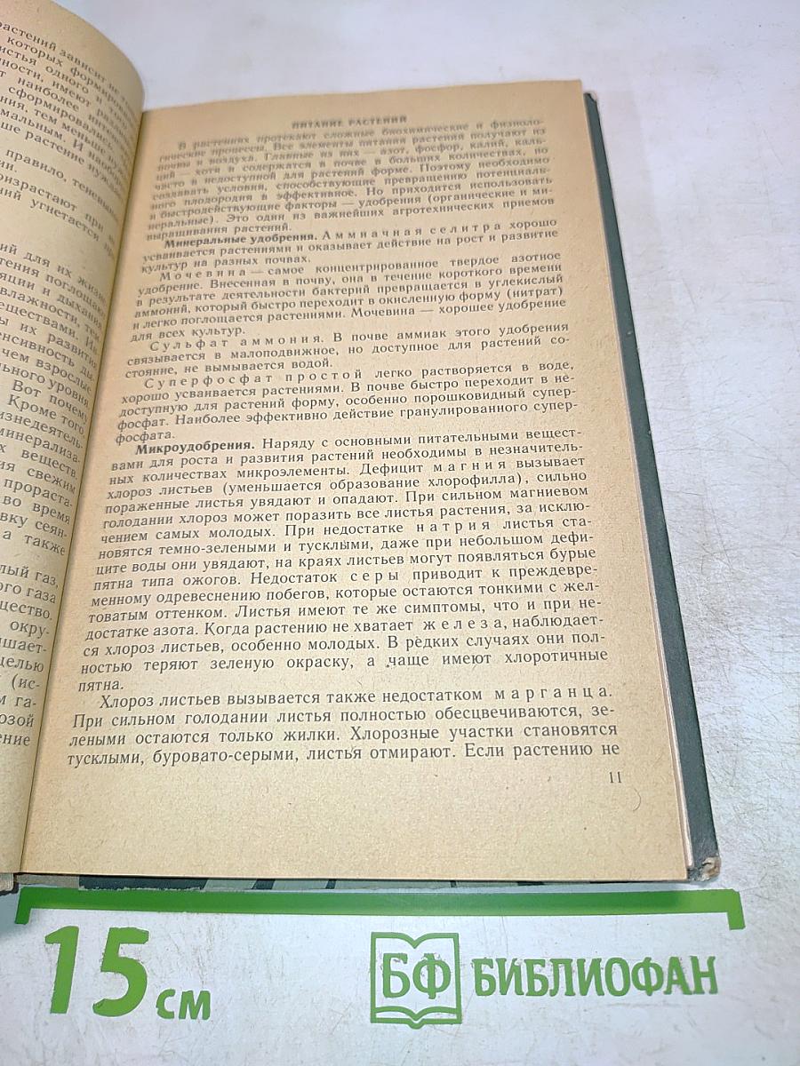 Уголок природы в детском саду