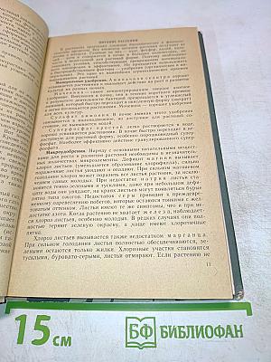 Уголок природы в детском саду