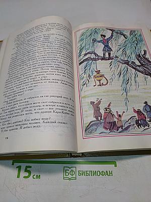 Белый медведь и бурый медведь