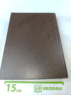 Виконт де Бражелон, или Десять лет спустя. Части 5, 6. Том 3