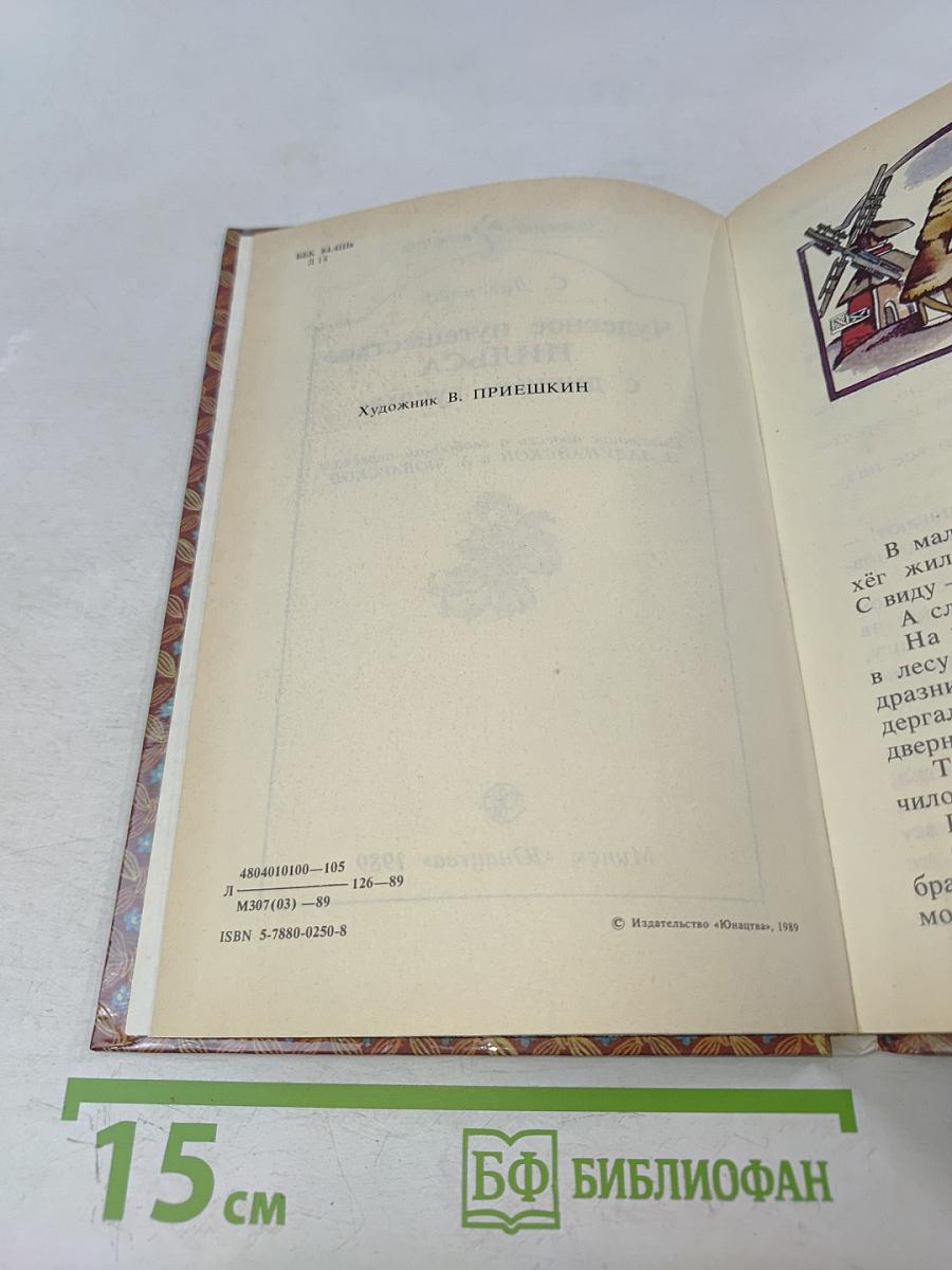 Чудесное путешествие Нильса с дикими гусями