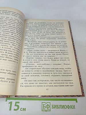 Чудесное путешествие Нильса с дикими гусями