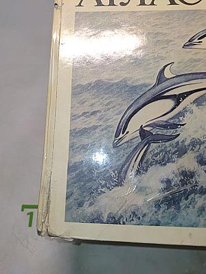 Атлас морских млекопитающих СССР