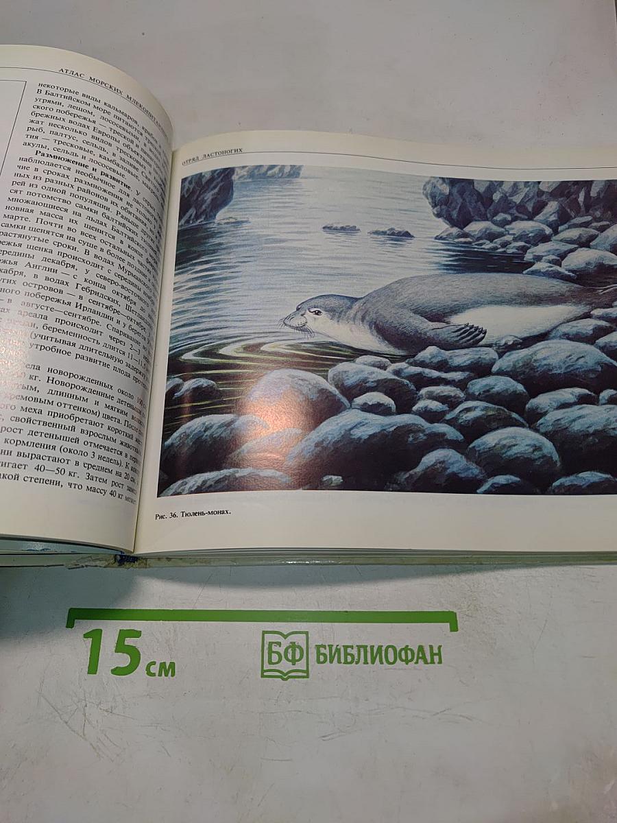 Атлас морских млекопитающих СССР