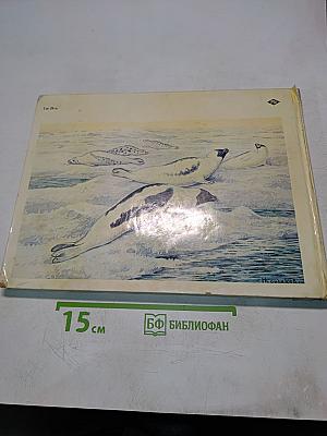 Атлас морских млекопитающих СССР