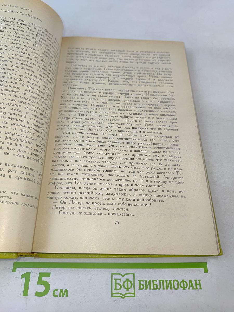 Приключения Тома Сойера. Приключения Гекльберри Финна