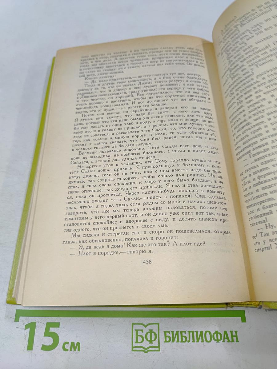 Приключения Тома Сойера. Приключения Гекльберри Финна