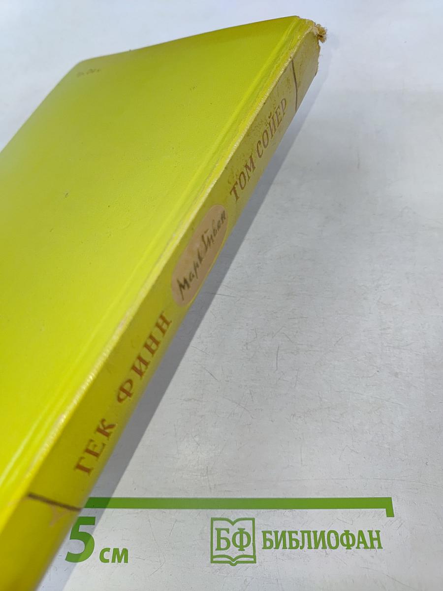 Приключения Тома Сойера. Приключения Гекльберри Финна