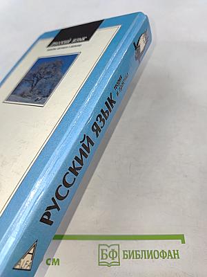 Русский язык. Теория и практика