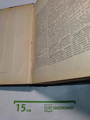 Энциклопедический словарь. Том 3. Пращур — Я