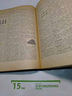 Энциклопедический словарь. Том 3. Пращур — Я