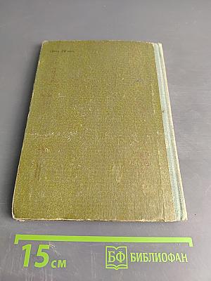 Хрупкая веточка