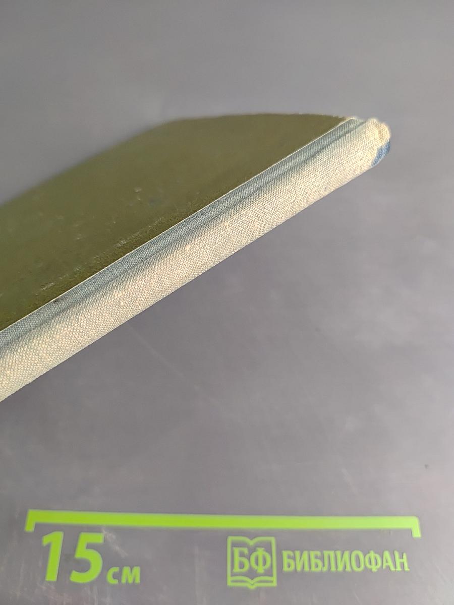 Хрупкая веточка