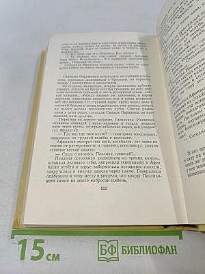 Собрание сочинений. Том первый. Повести и рассказы 1908-1911. Чудаки. Роман