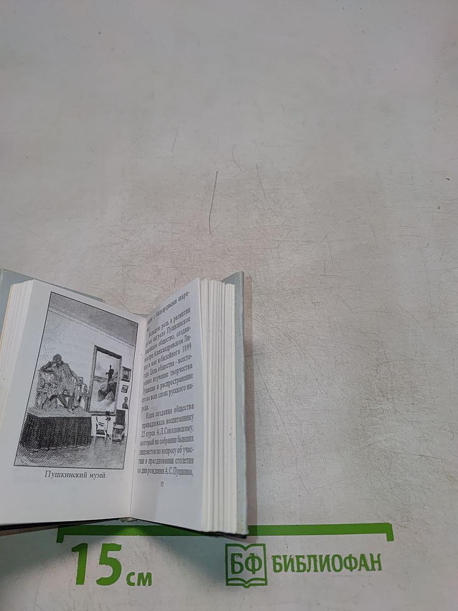 Пушкинские места Петербурга. Пушкинский музей императорского Александровского лицея