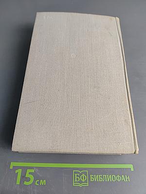 Последнее лето