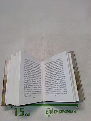 В дружеском кругу своем... (Виэемский в Петербурге)