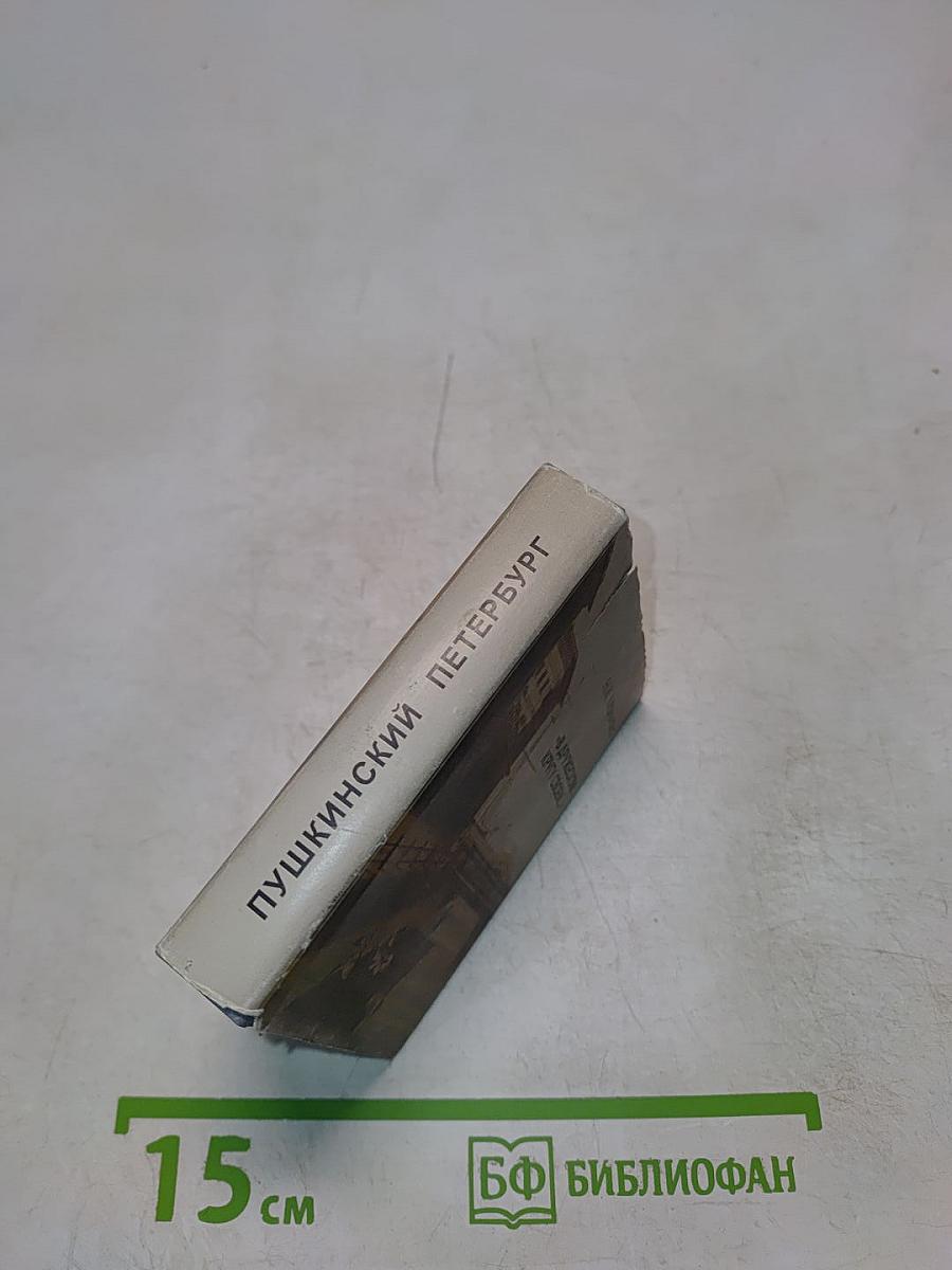 В дружеском кругу своем... (Виэемский в Петербурге)