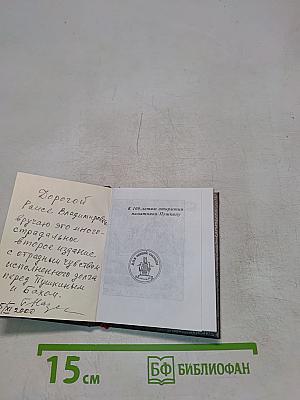 Царское Село. Лицейский сад и памятник Пушкину. Очерк
