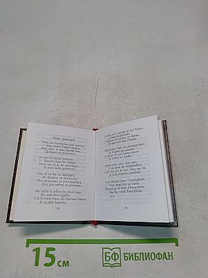 Царское Село. Лицейский сад и памятник Пушкину. Очерк