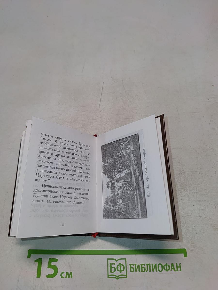 Царское Село. Лицейский сад и памятник Пушкину. Очерк