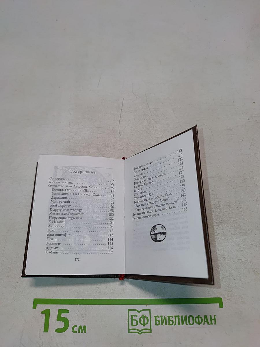 Царское Село. Лицейский сад и памятник Пушкину. Очерк