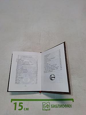 Царское Село. Лицейский сад и памятник Пушкину. Очерк