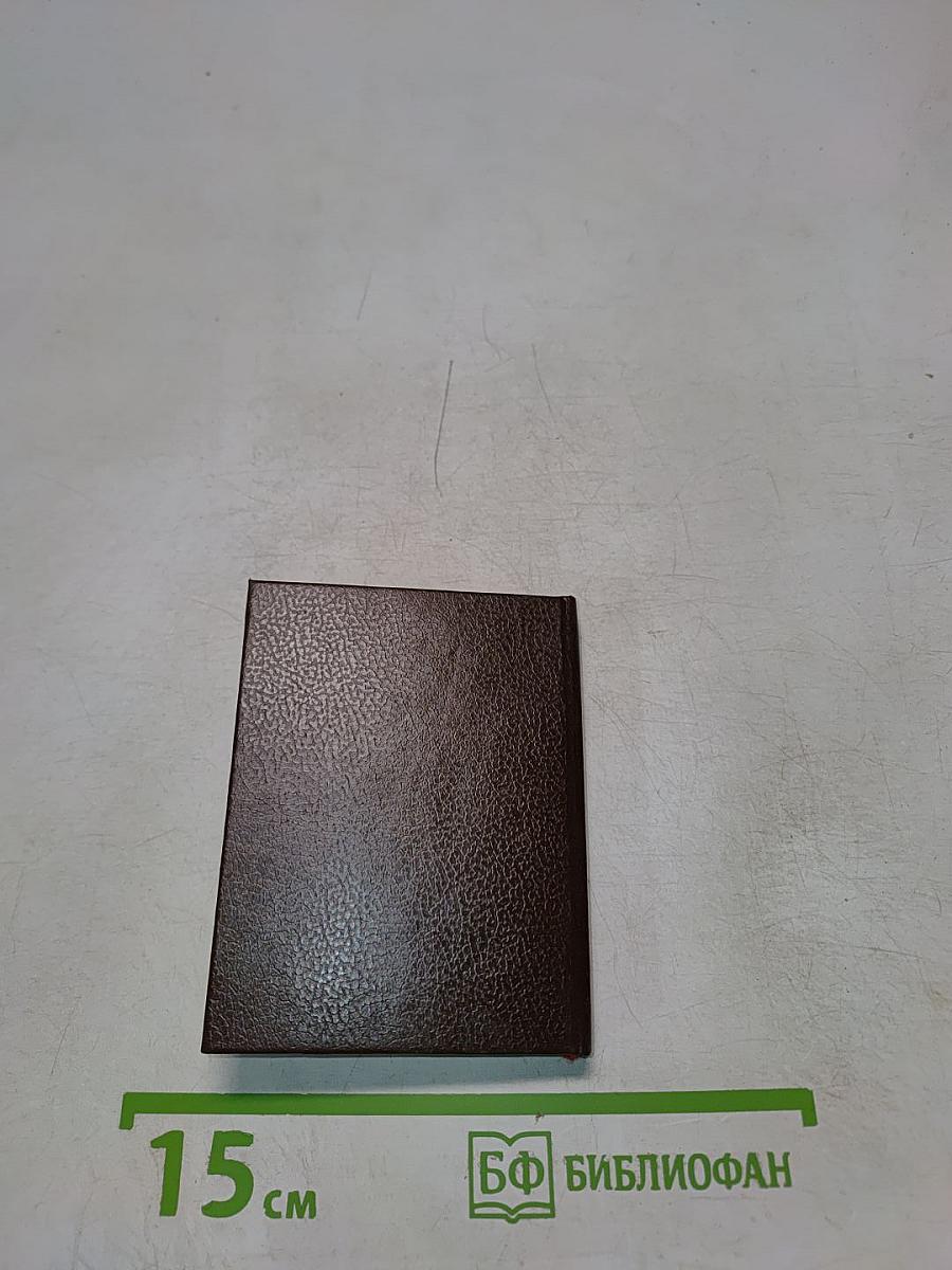 Царское Село. Лицейский сад и памятник Пушкину. Очерк